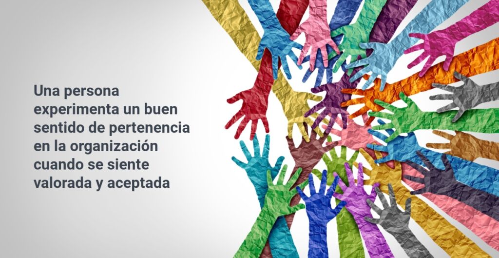 pertenencia, cultura de pertenencia, inclusion